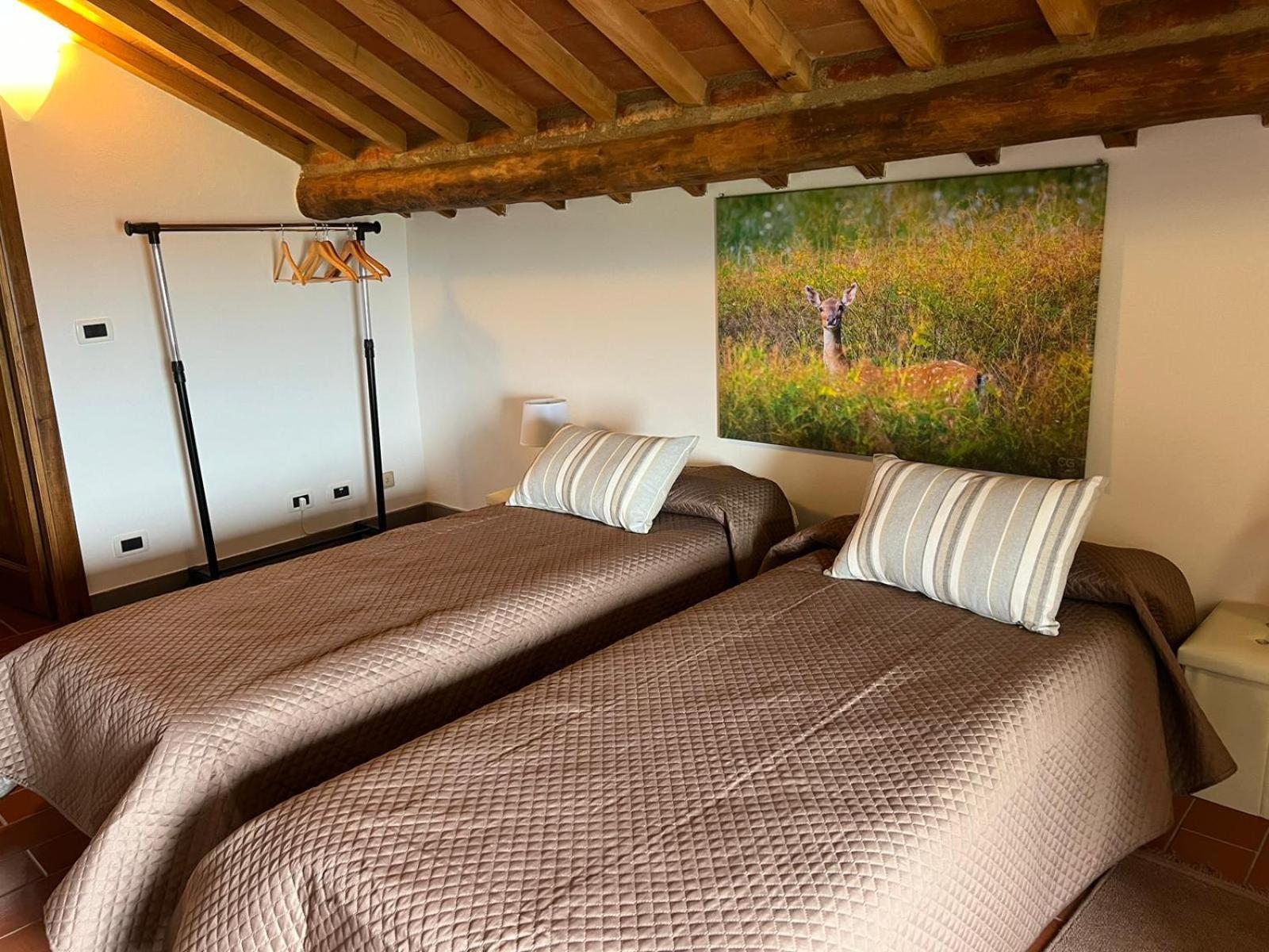 Casa Podere San Firenze San Firenze - Fonte Di Sala Εξωτερικό φωτογραφία